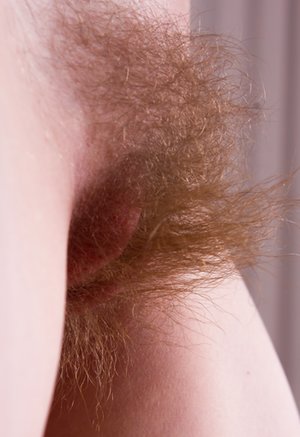 We Are Hairy are pleased to offer you a free pictures featuring Amber S showing superb body