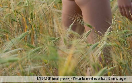 We Are Hairy are proud to present you with xxx pics featuring Nicky K exhibit perfect body